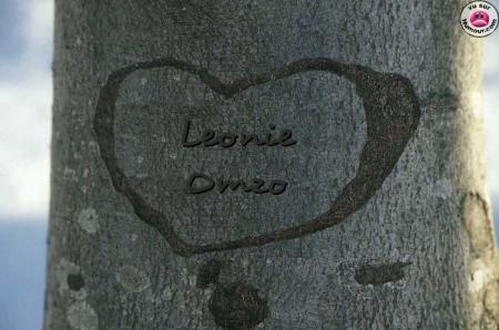 amour de ma vie